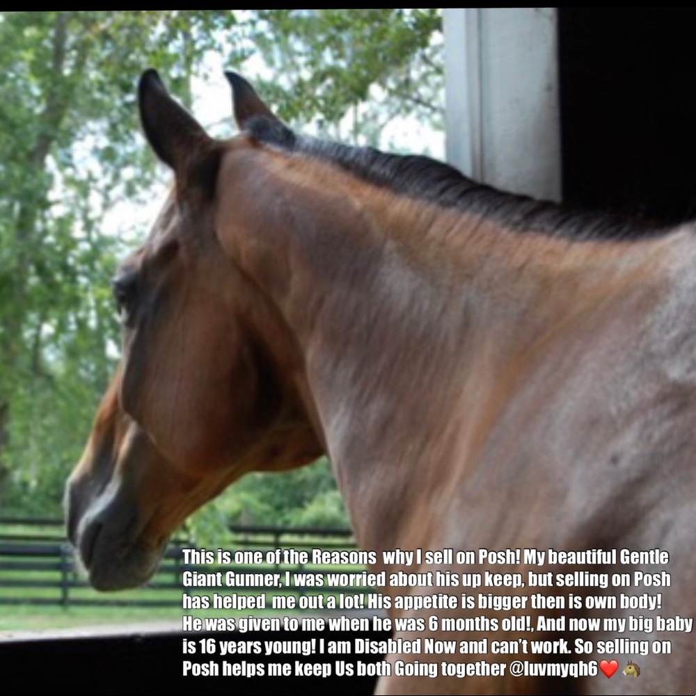 Following Game! Like! Share! & Follow! 🤗❤️🐴 - Picture 6 of 8